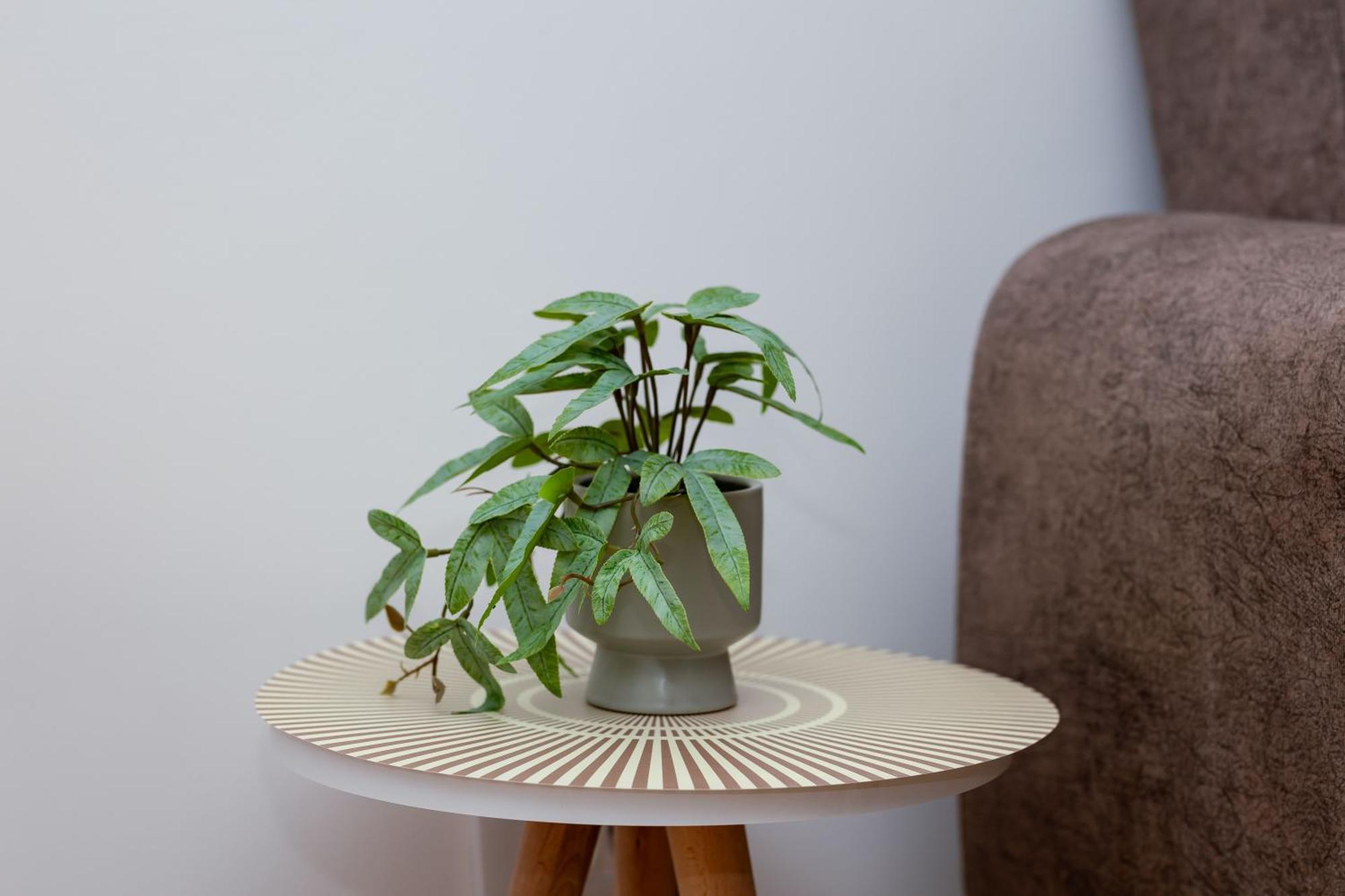 Elegant Escape Podgorica Apartment Ngoại thất bức ảnh